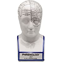 aubaho Ampliación 30cm Busto de la Cabeza de la frenología anatomía naturópata Fowler